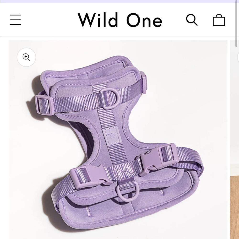Purple No-Pull Dog Harness with Adjustable Straps and Metal D-Ring